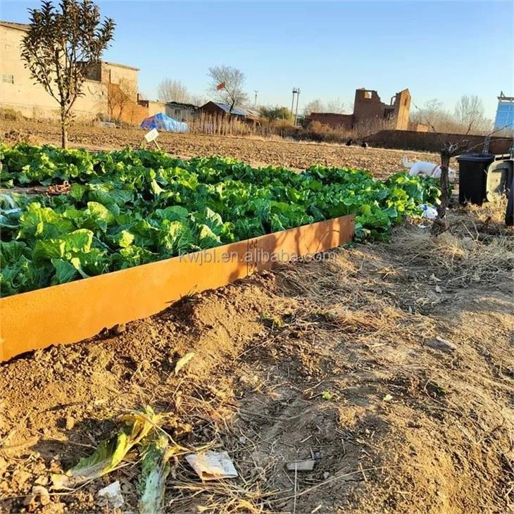 Raised Garden Bed