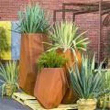 Steel Planter Pot Għall-Ġnien Ornamentali