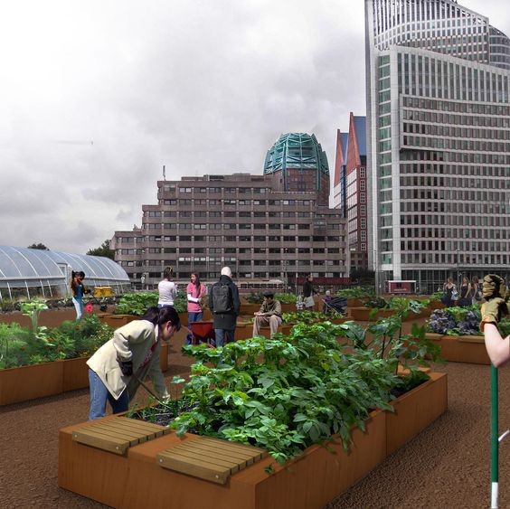 Corten Steel Flowers Pot best