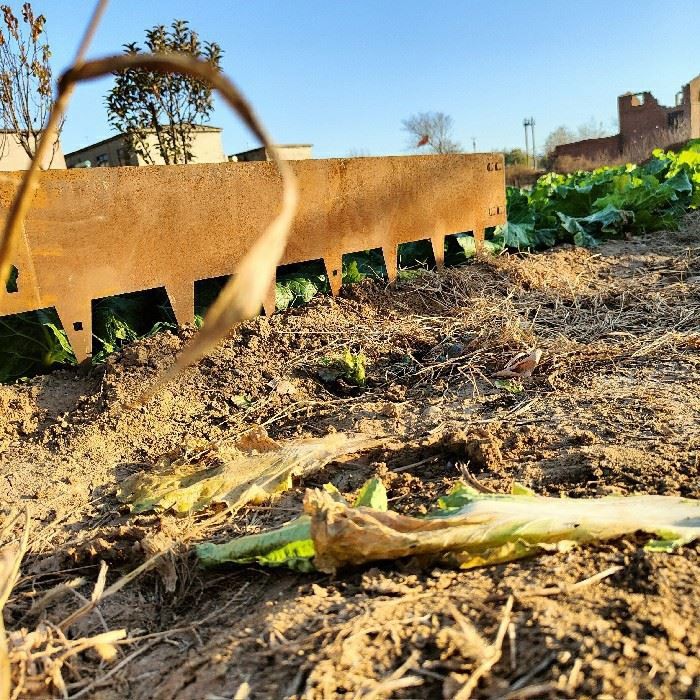 Lawn Edgings For Garden Decorative best