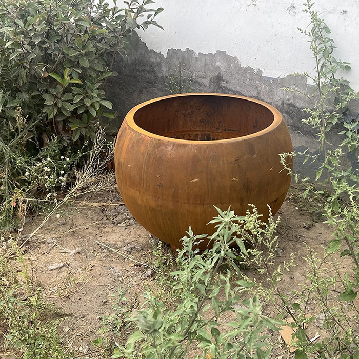 202406051537IMG0543 202406051537IMG0543