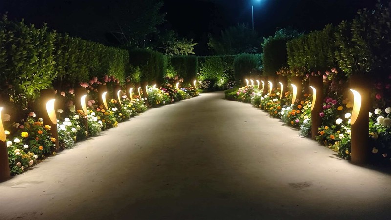 202603161518125153 202603161518125153