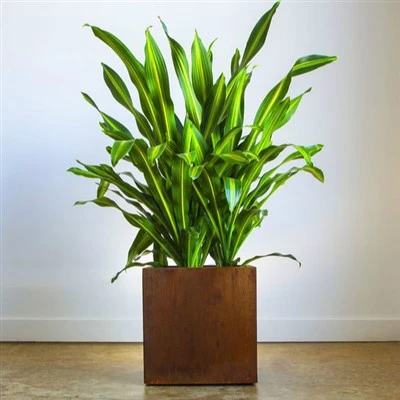 Flower Pot Stand Outdoor Għall Ġnien Ornamentali
